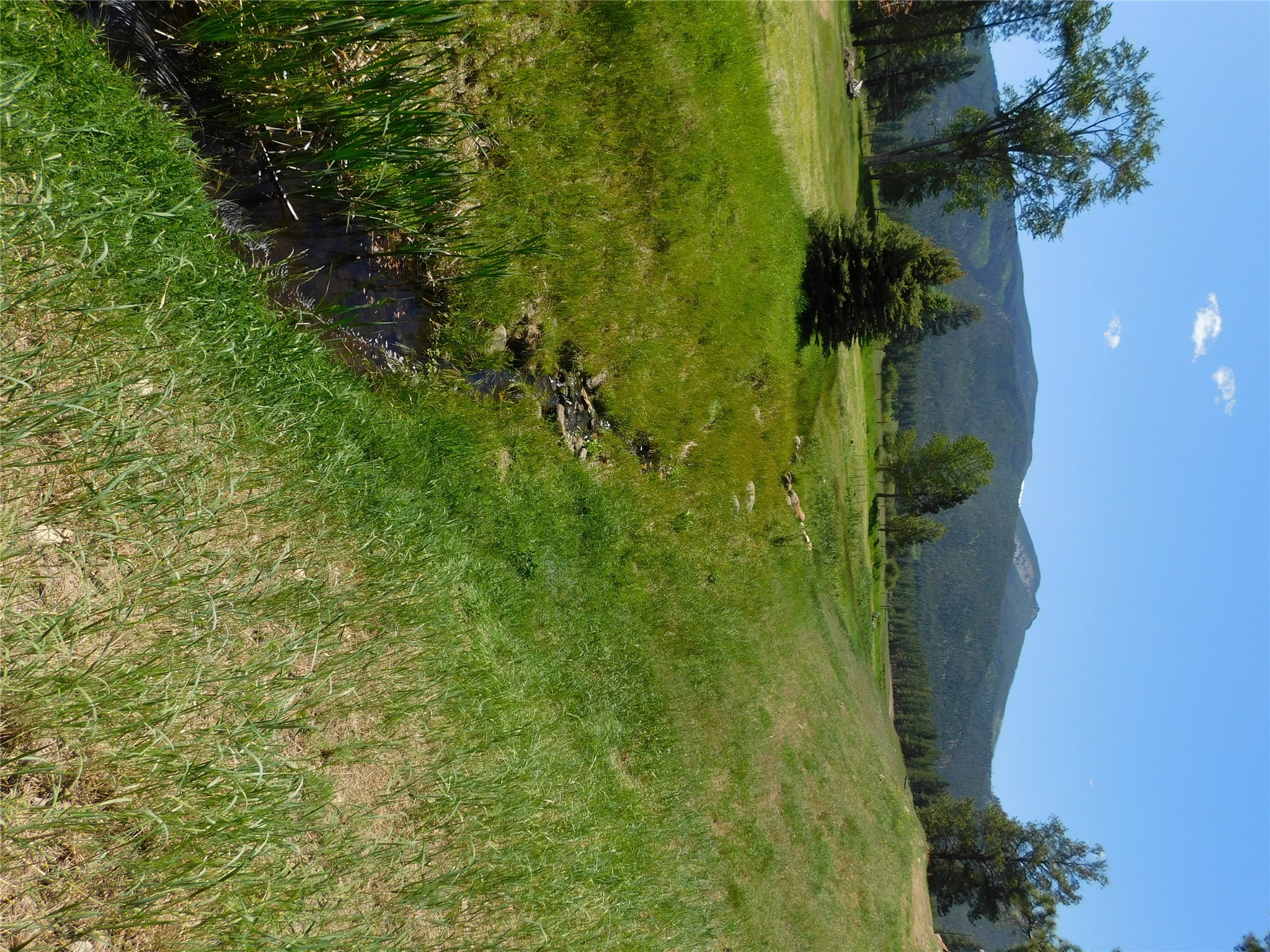 Stevensville, Montana 59870, United States, 3 Bedrooms Bedrooms, ,2 BathroomsBathrooms,Residential,Active,89067