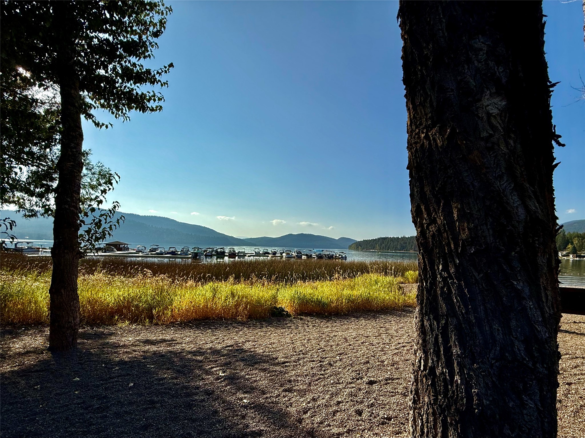 Whitefish, Montana, 59937, United States, 2 Bedrooms Bedrooms, ,2 BathroomsBathrooms,Residential,Active,2035106