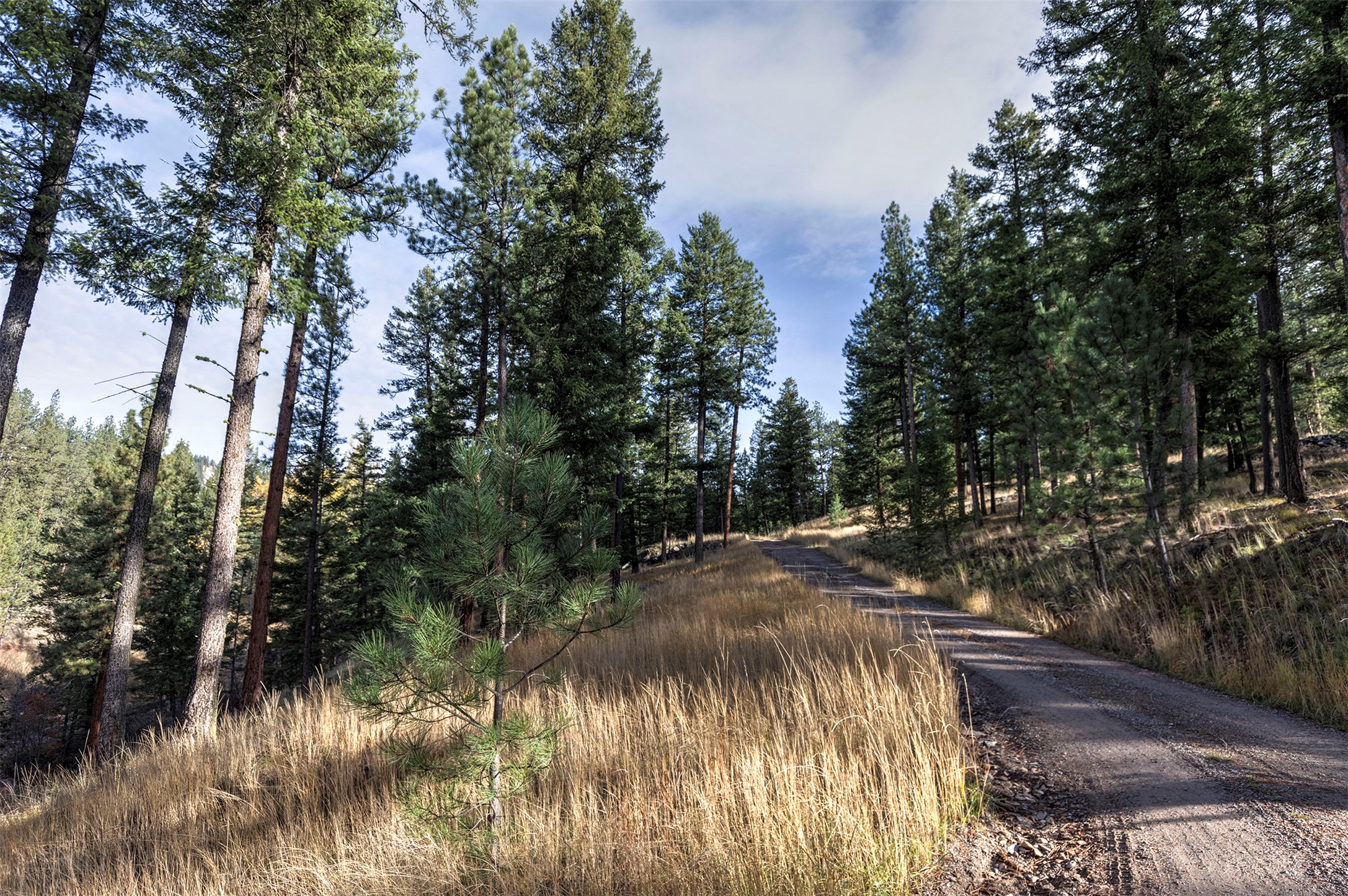 Parcel 3B Snowshoe Lane