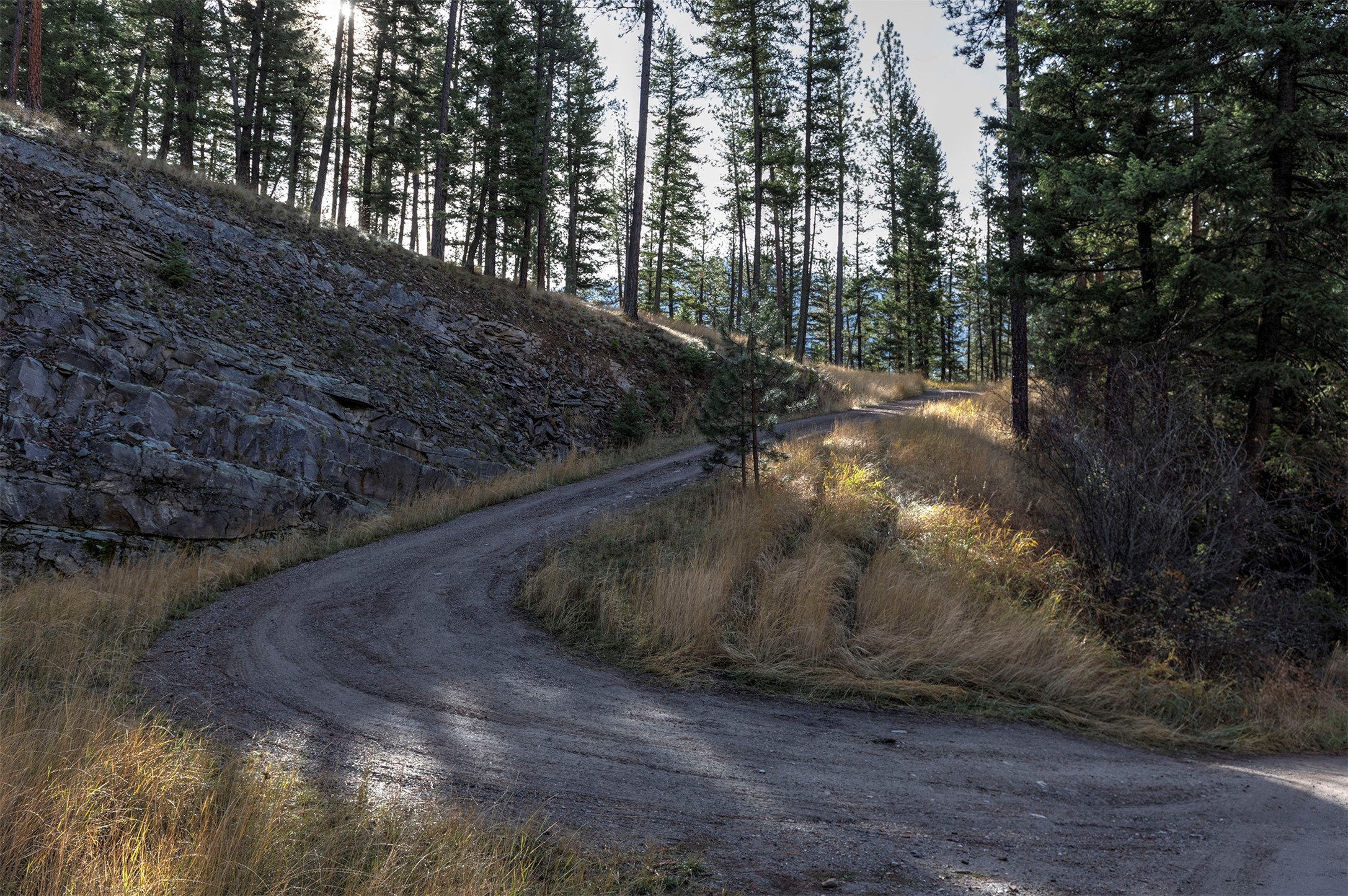 Parcel 3B Snowshoe Lane