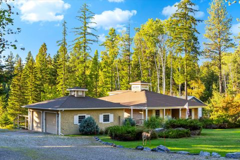 661 Latigo Lane Bigfork MT 59911