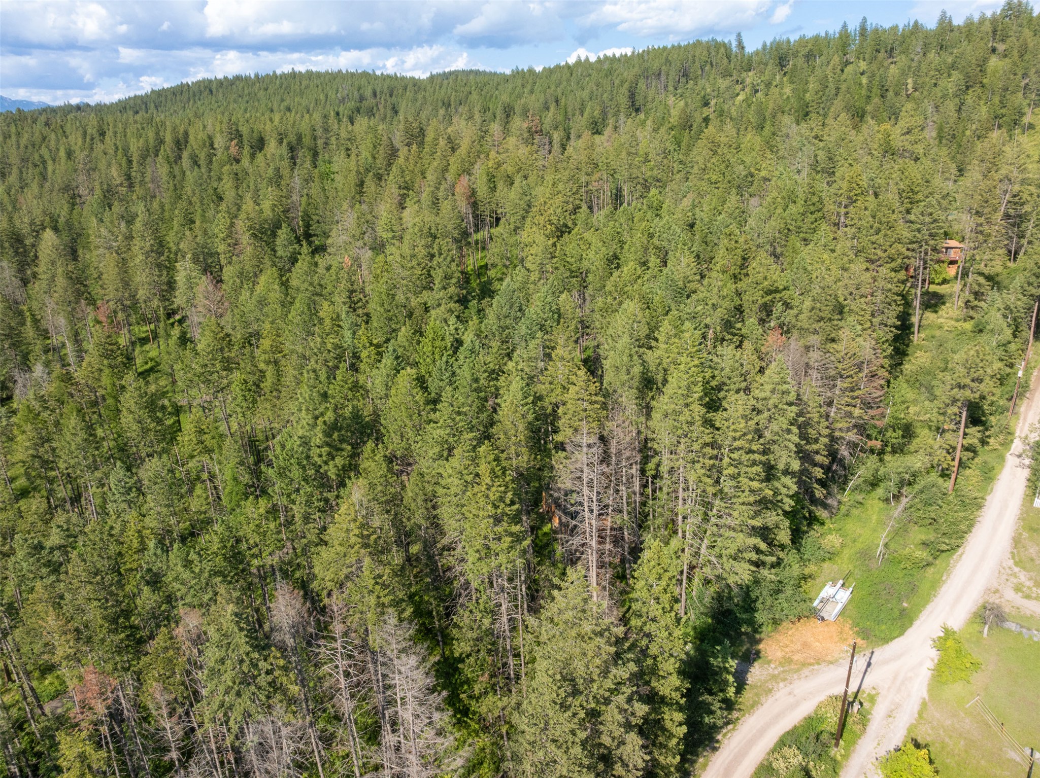 Bigfork, Montana 59911, United States, ,Land,Active,158062