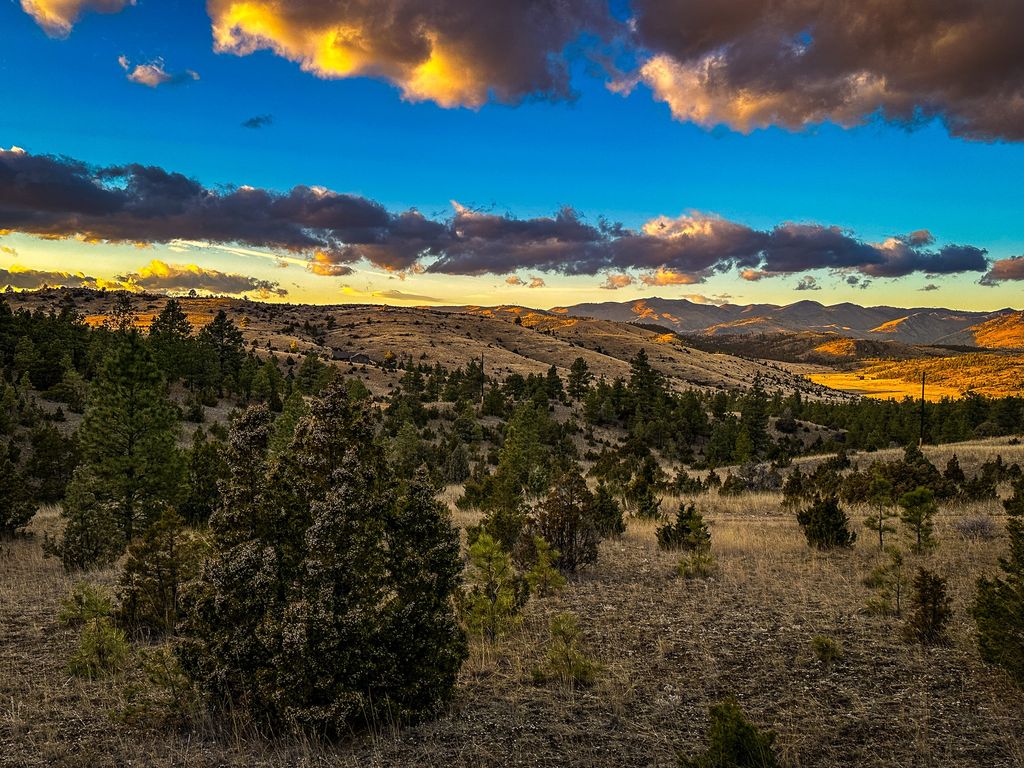 Photo of 6245 McGee Lane, Helena, MT 59602 (MLS # 30058548)