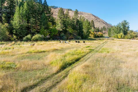 Tiny photo for 1789 Skalkaho Hwy, Hamilton, MT 59840 (MLS # 30076186)