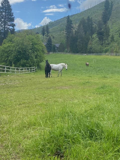 Tiny photo for 1789 Skalkaho Hwy, Hamilton, MT 59840 (MLS # 30076186)
