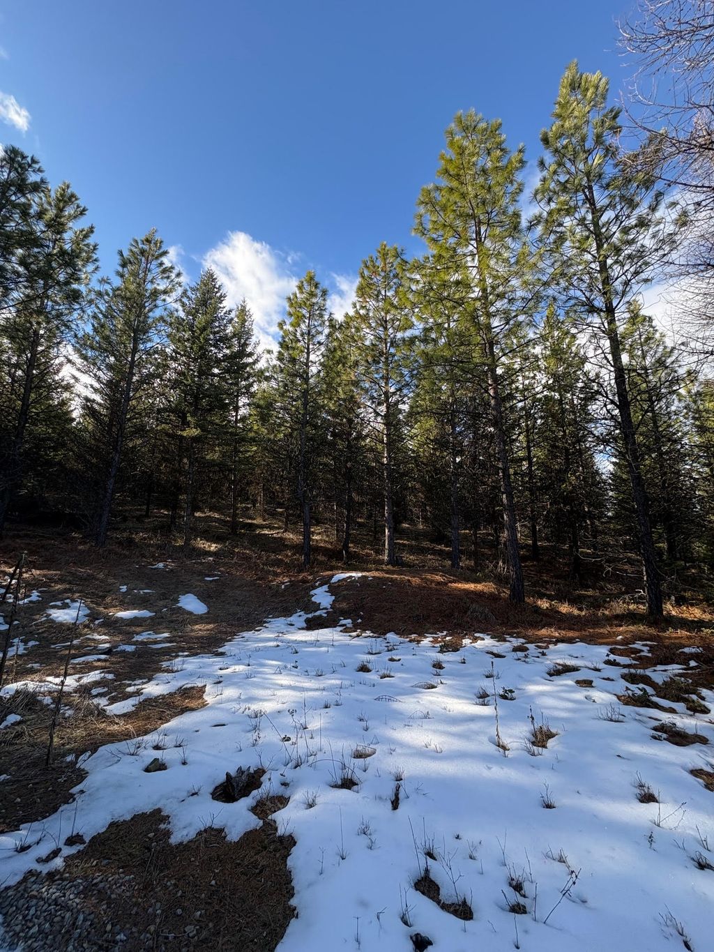 Photo of Lot 5 Panoramic View Drive, Libby, MT 59923 (MLS # 30065366)