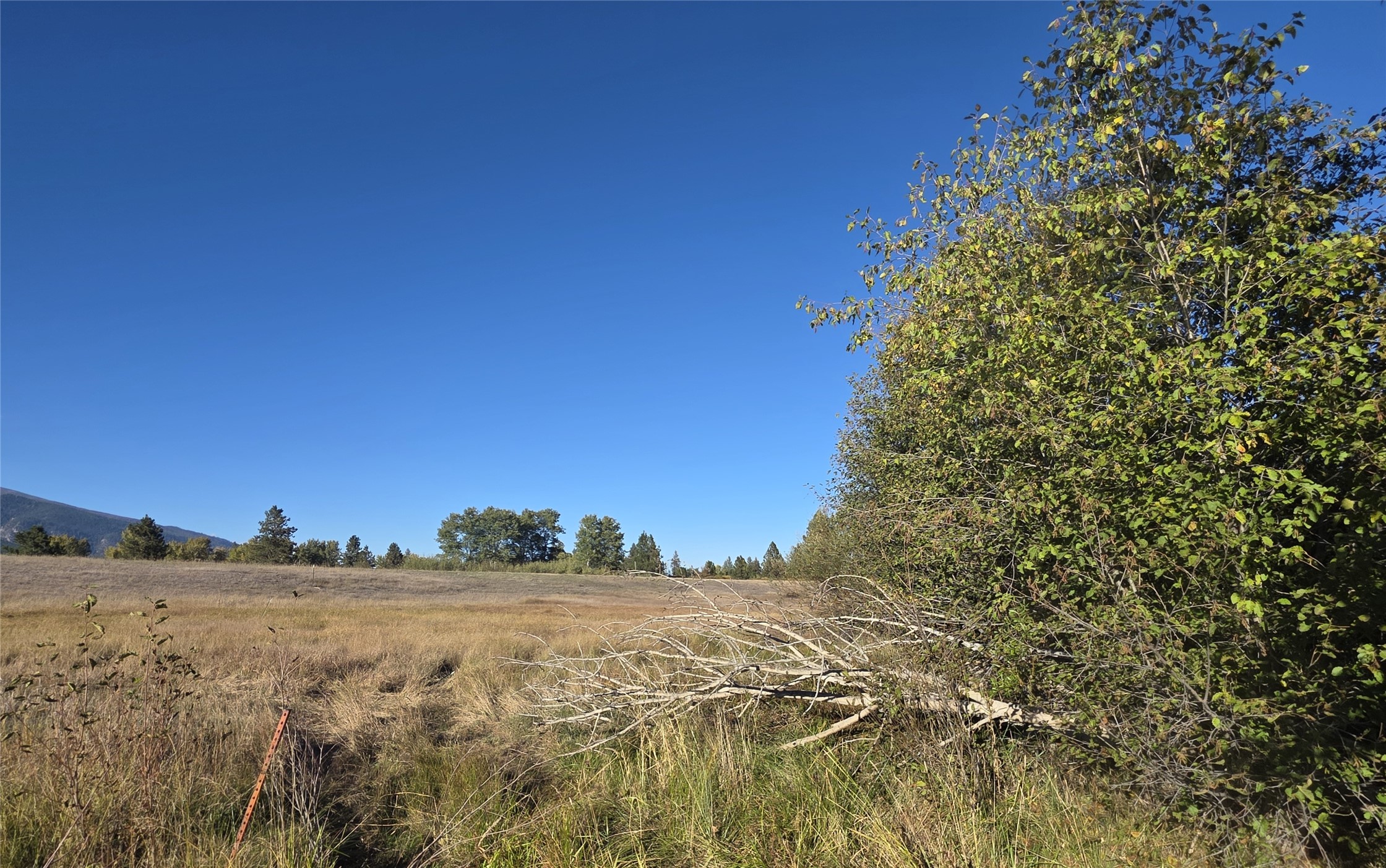 2326 Middle Bear Creek Road