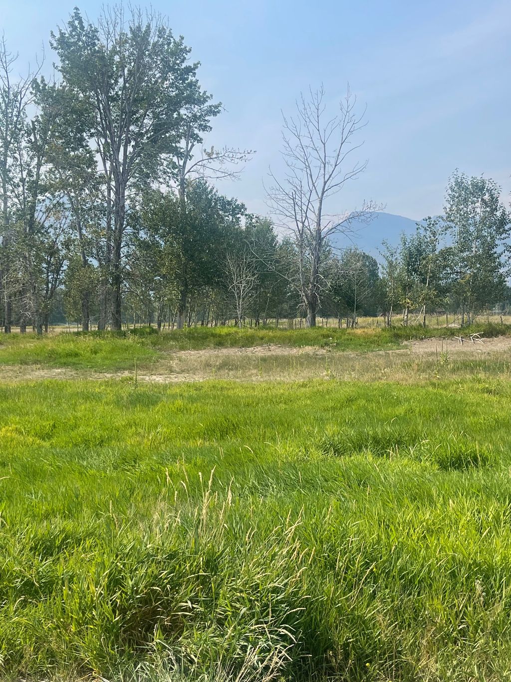 Photo of 659 Old Corvallis Road, Hamilton, MT 59840 (MLS # 30056452)