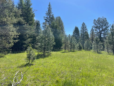 Photo of NHN S Shore Drive, Trout Creek, MT 59874 (MLS # 30074813)