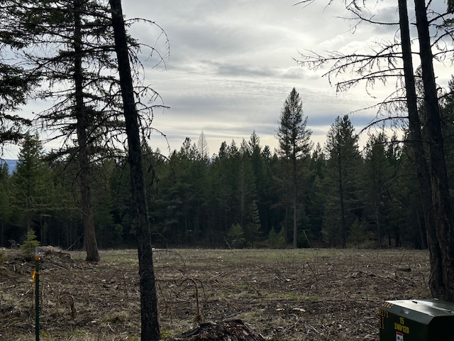 Lot 3 Aspen Glen Road