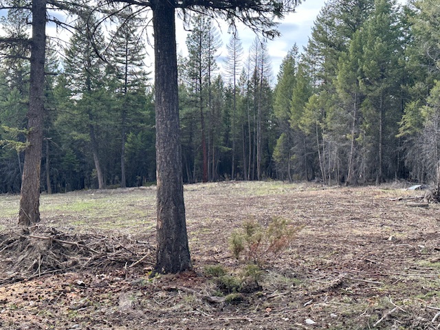 Lot 3 Aspen Glen Road