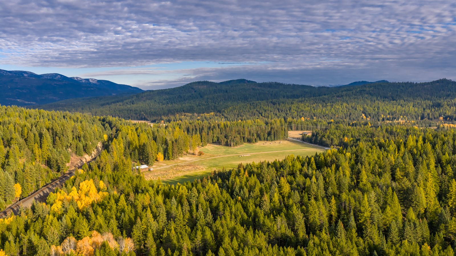 340 Tamarack Creek Road