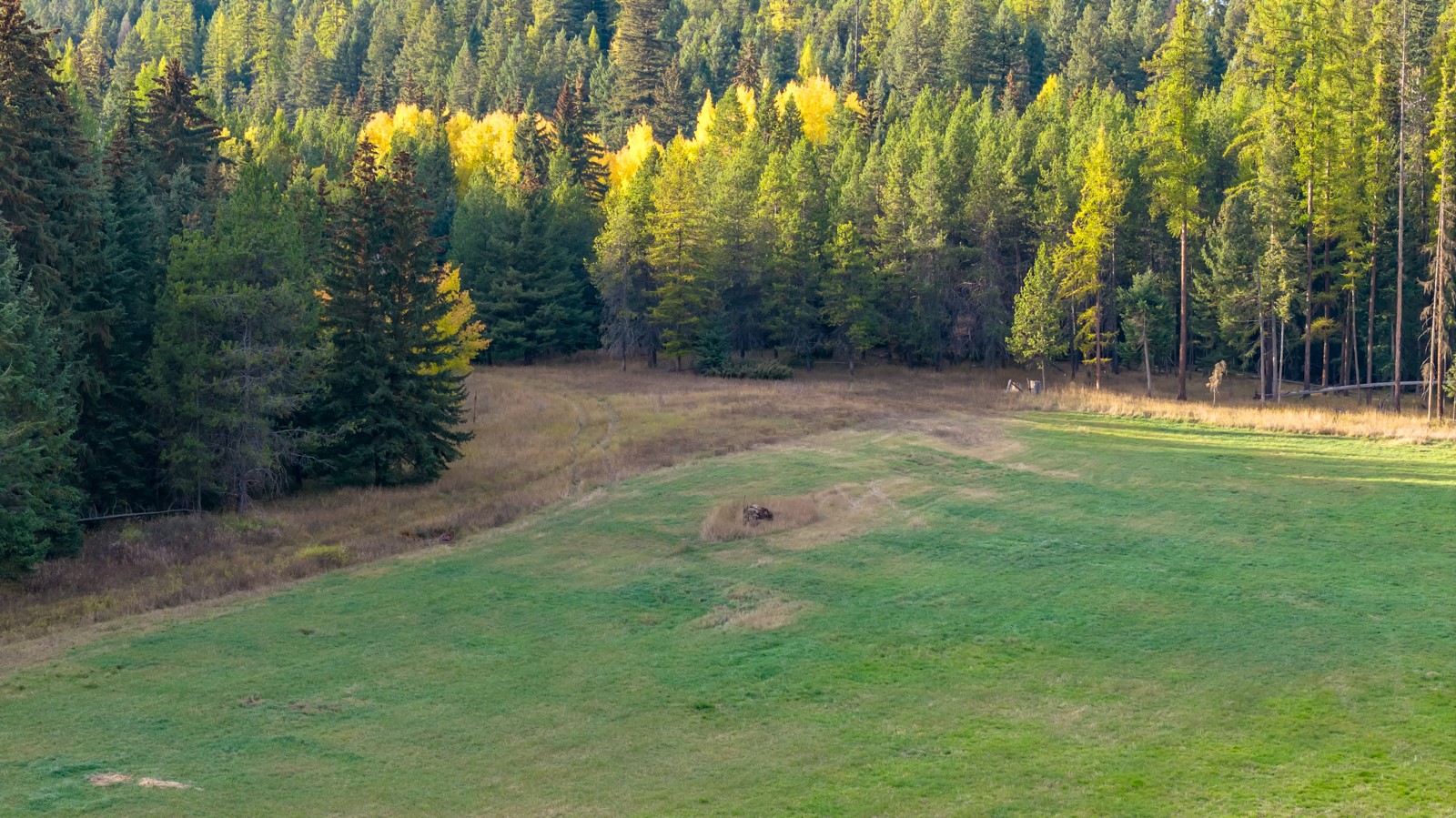 340 Tamarack Creek Road