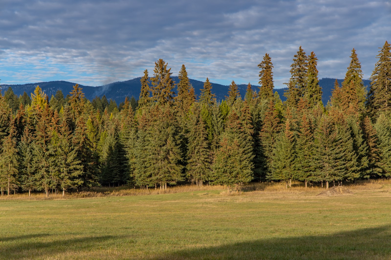 340 Tamarack Creek Road