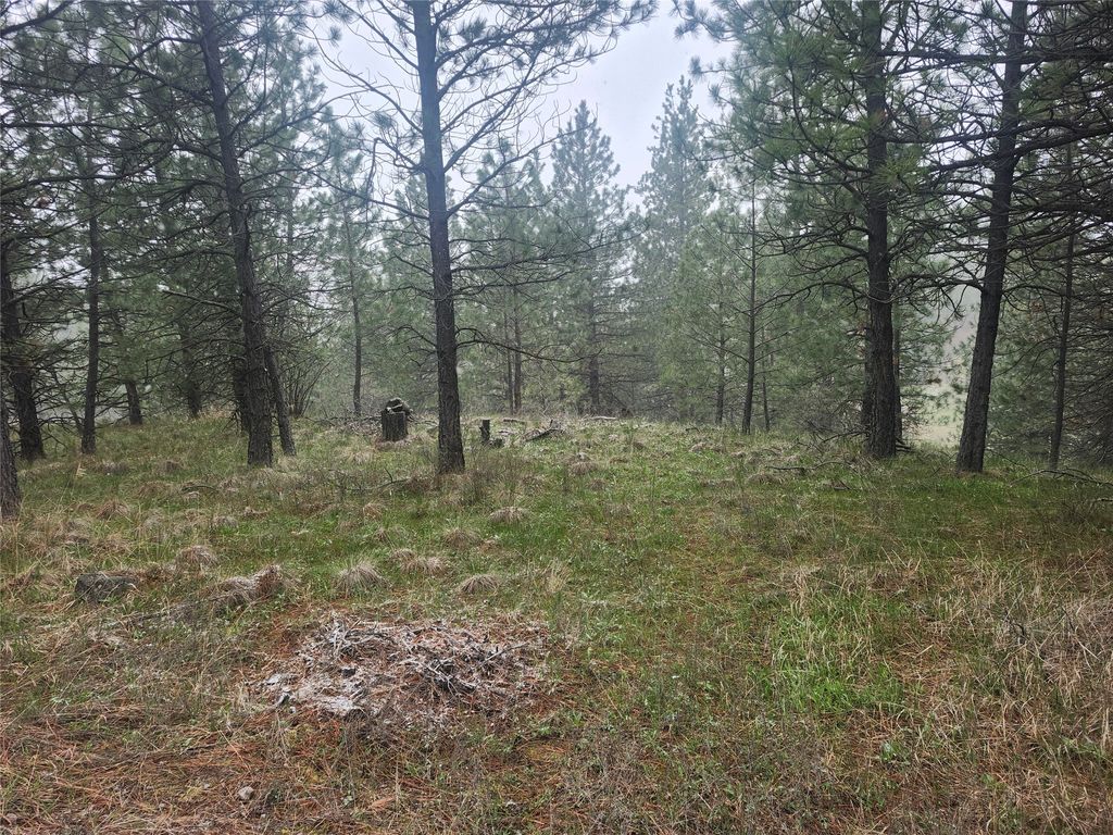 Photo of 31009 Canyon View Place, Polson, MT 59860 (MLS # 30068995)