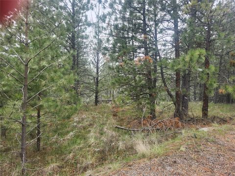 Photo of 31009 Canyon View Place, Polson, MT 59860 (MLS # 30068995)