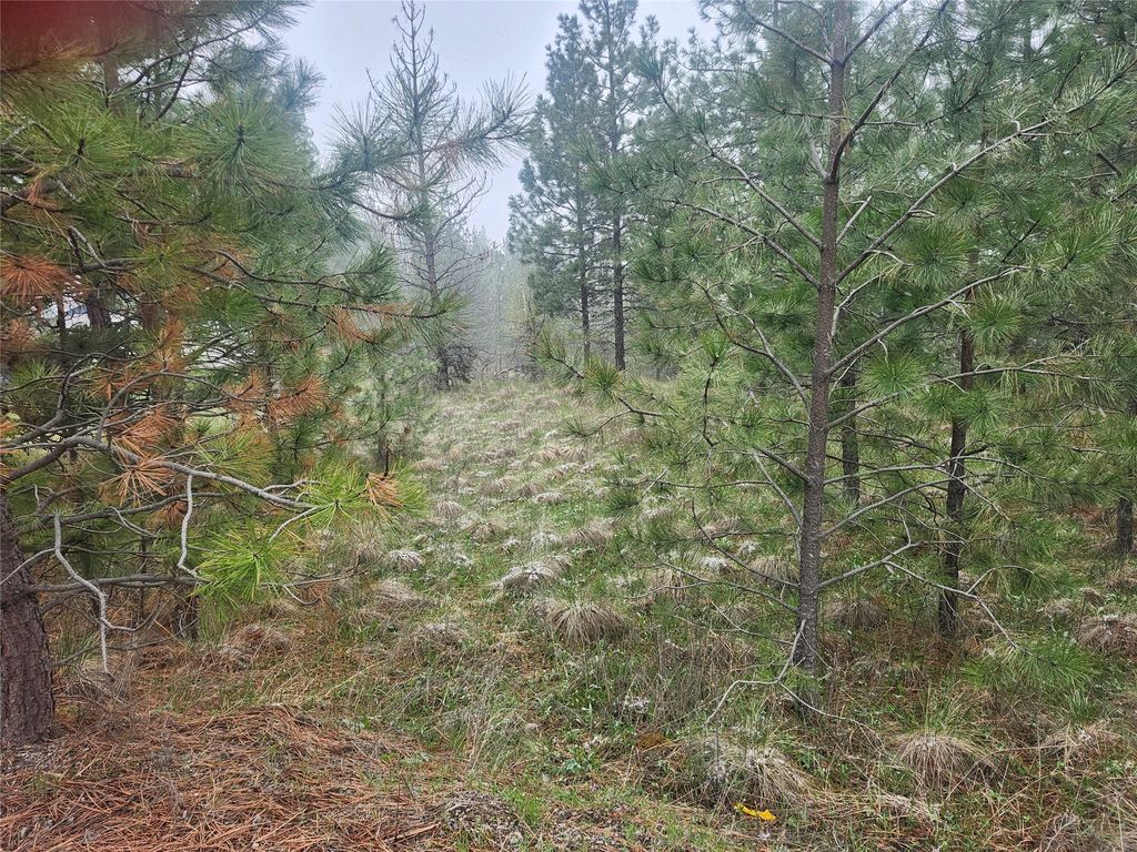 Photo of 31009 Canyon View Place, Polson, MT 59860 (MLS # 30068995)