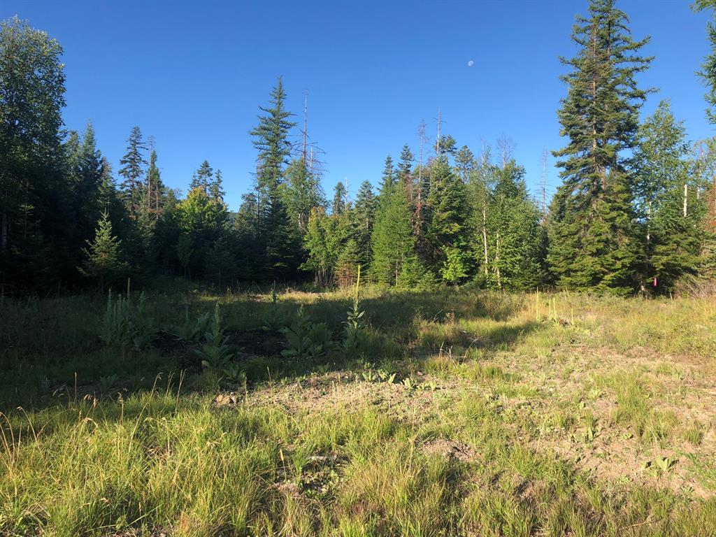 13523 Sundance Trail