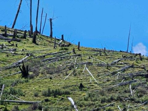 Tiny photo for NHN Blind Creek Draw Road, Conner, MT 59827 (MLS # 30071171)