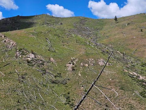 Tiny photo for NHN Blind Creek Draw Road, Conner, MT 59827 (MLS # 30071171)