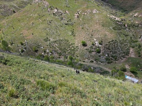 Tiny photo for NHN Blind Creek Draw Road, Conner, MT 59827 (MLS # 30071171)