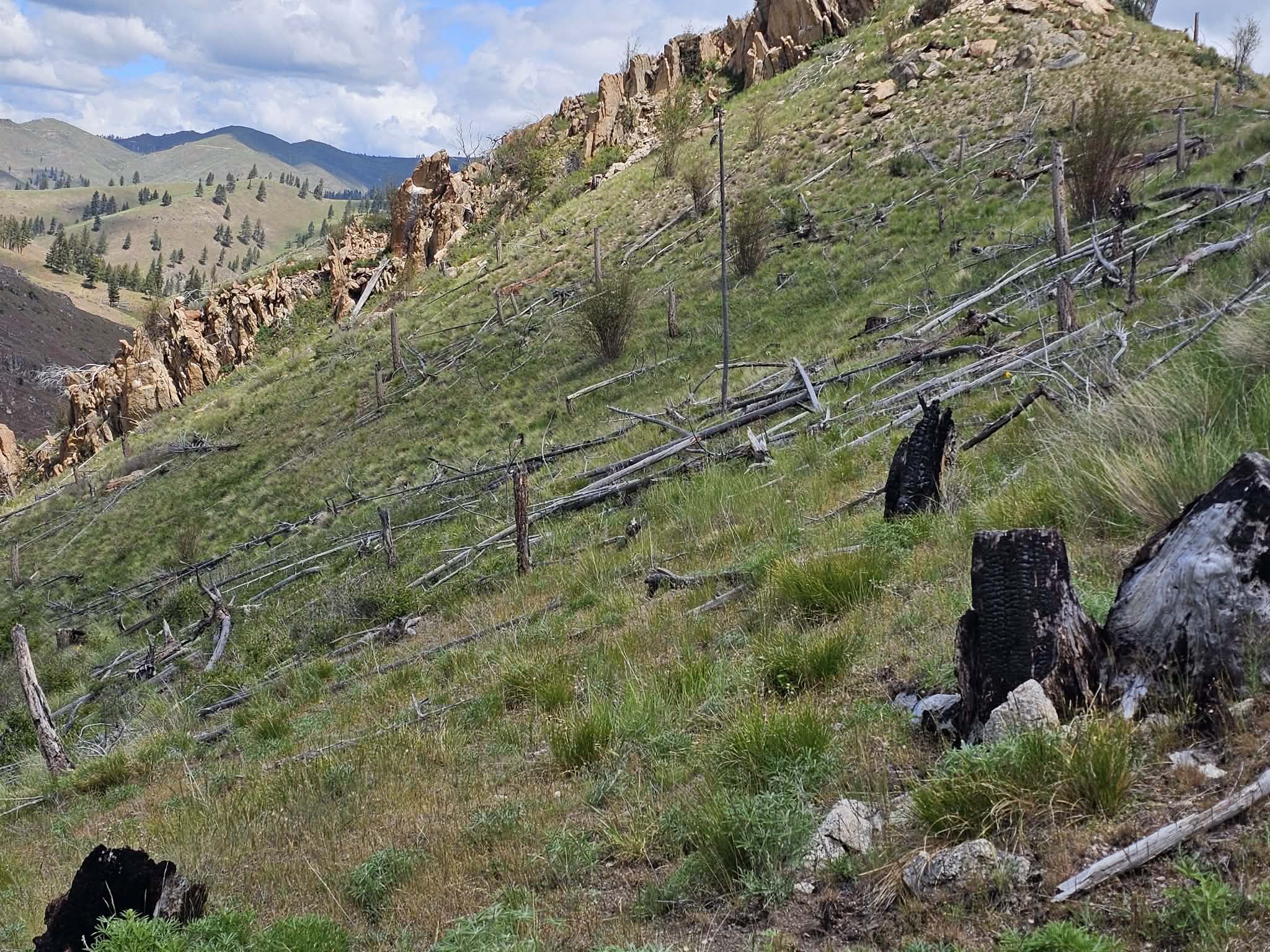 NHN Blind Creek Draw Road