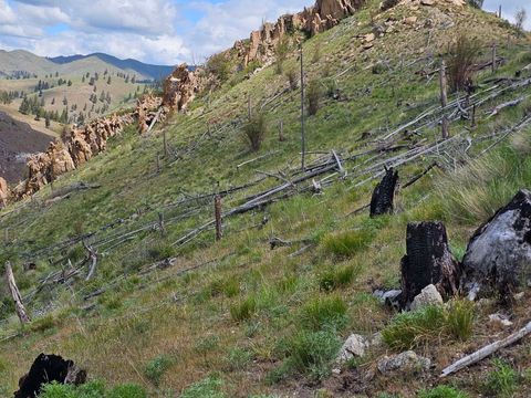 Tiny photo for NHN Blind Creek Draw Road, Conner, MT 59827 (MLS # 30071171)