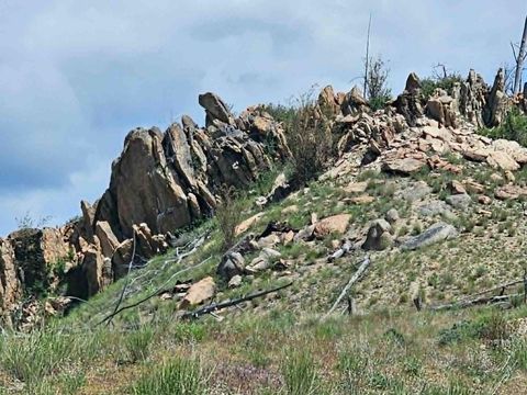 Tiny photo for NHN Blind Creek Draw Road, Conner, MT 59827 (MLS # 30071171)