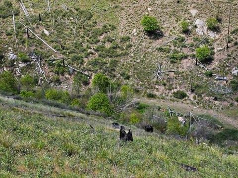 Tiny photo for NHN Blind Creek Draw Road, Conner, MT 59827 (MLS # 30071171)