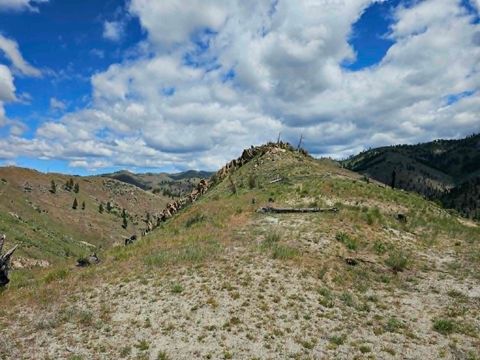 Tiny photo for NHN Blind Creek Draw Road, Conner, MT 59827 (MLS # 30071171)