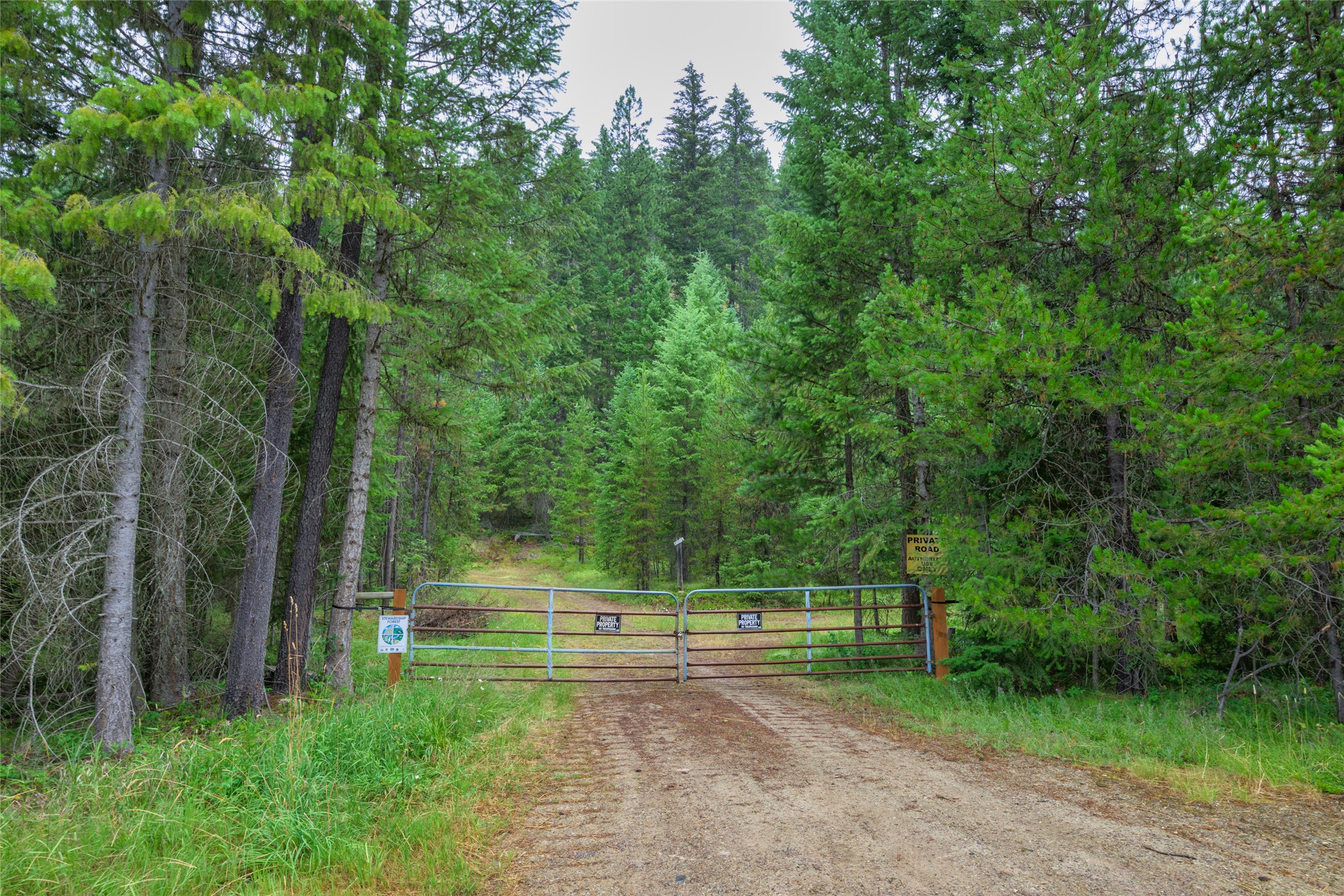 NHN Cabin City Loop Lot 50