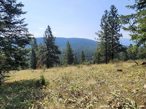 Tiny photo for 0 Brookes Drive, Rexford, MT 59930 (MLS # 30077115)