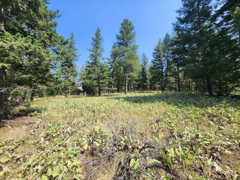 Tiny photo for 0 Brookes Drive, Rexford, MT 59930 (MLS # 30077115)