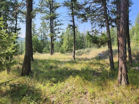 Tiny photo for 0 Brookes Drive, Rexford, MT 59930 (MLS # 30077115)