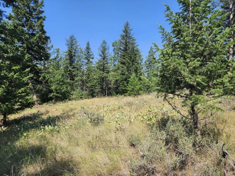 Tiny photo for 0 Brookes Drive, Rexford, MT 59930 (MLS # 30077115)
