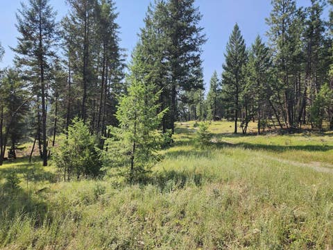 Tiny photo for 0 Brookes Drive, Rexford, MT 59930 (MLS # 30077115)