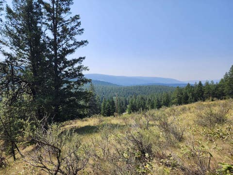 Tiny photo for 0 Brookes Drive, Rexford, MT 59930 (MLS # 30077115)