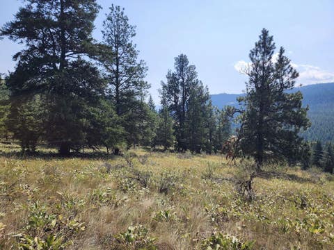 Tiny photo for 0 Brookes Drive, Rexford, MT 59930 (MLS # 30077115)