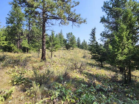 Tiny photo for 0 Brookes Drive, Rexford, MT 59930 (MLS # 30077115)