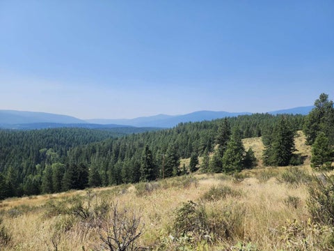 Tiny photo for 0 Brookes Drive, Rexford, MT 59930 (MLS # 30077115)