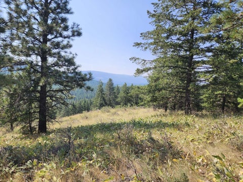 Tiny photo for 0 Brookes Drive, Rexford, MT 59930 (MLS # 30077115)