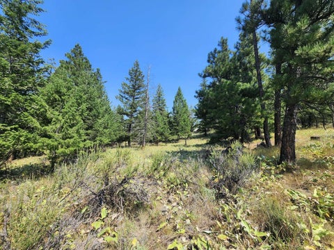 Tiny photo for 0 Brookes Drive, Rexford, MT 59930 (MLS # 30077115)