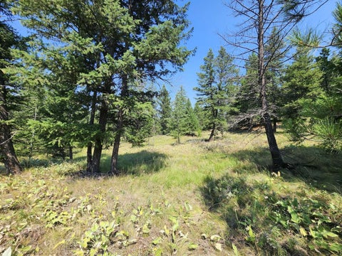 Tiny photo for 0 Brookes Drive, Rexford, MT 59930 (MLS # 30077115)