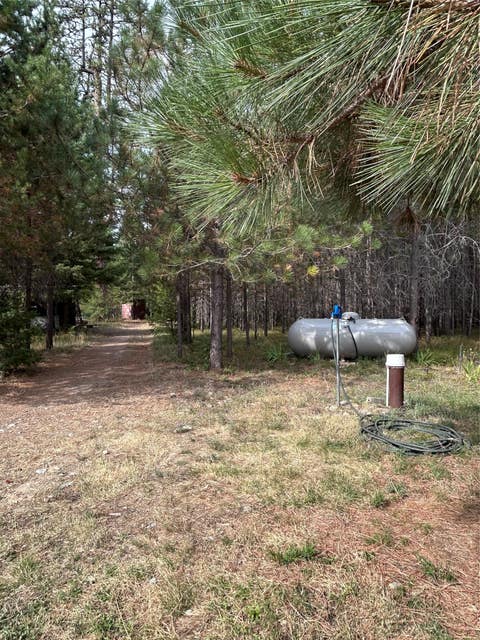 Tiny photo for 297 Cabin City Loop, St Regis, MT 59866 (MLS # 30076103)