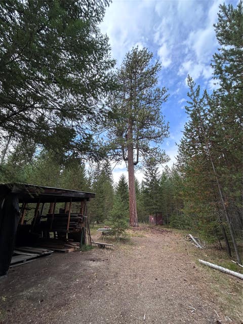Tiny photo for 297 Cabin City Loop, St Regis, MT 59866 (MLS # 30076103)