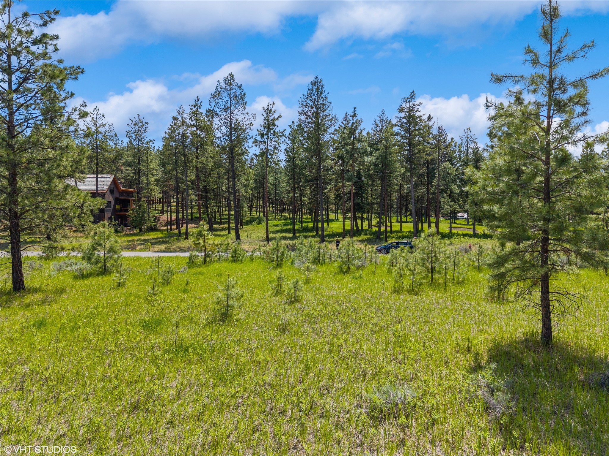 870 Wilderness Club Drive