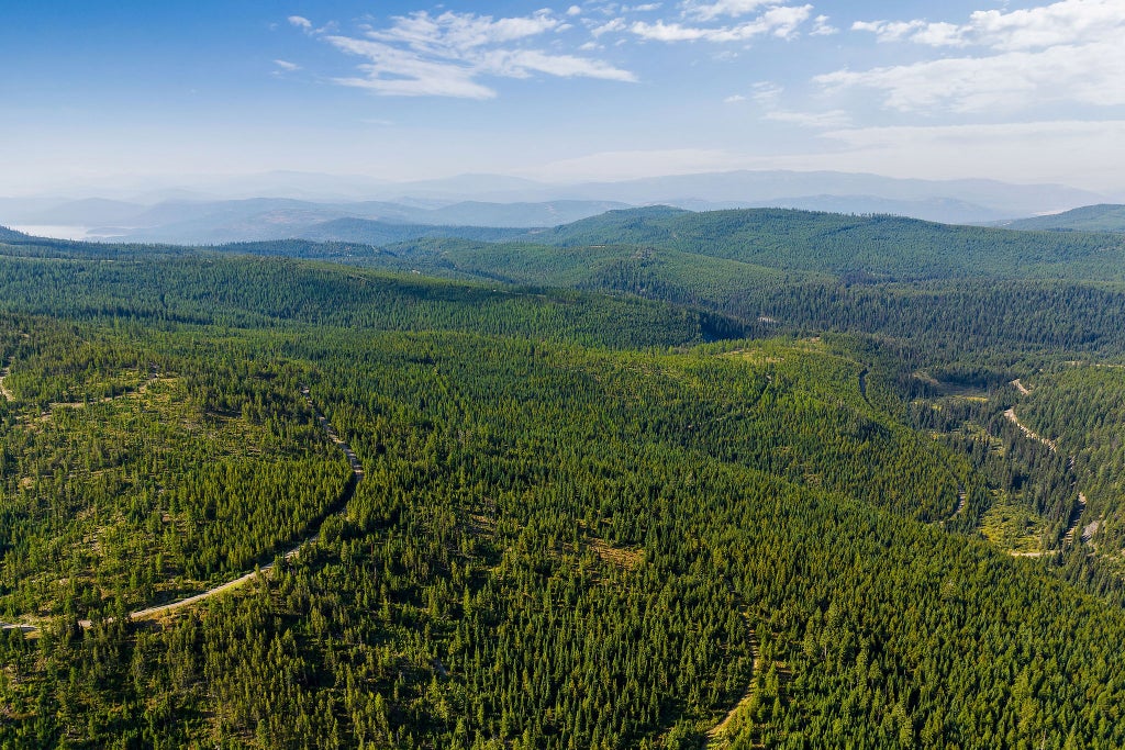 Photo of Nhn Griffin Creek Road, Marion, MT 59925 (MLS # 30077313)