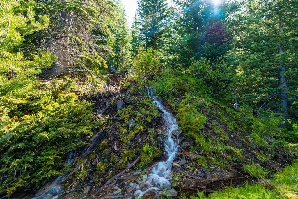 Photo of Nhn Griffin Creek Road, Marion, MT 59925 (MLS # 30077313)