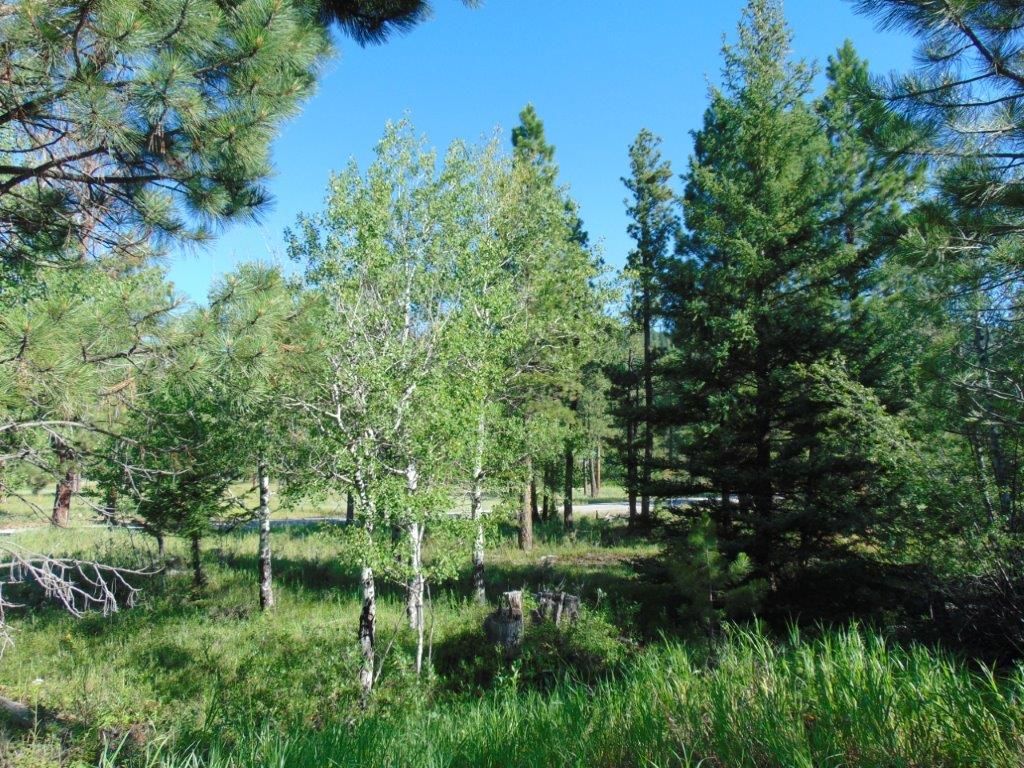 Photo of 4615 Abe Lincoln Road, Lincoln, MT 59639 (MLS # 30074886)
