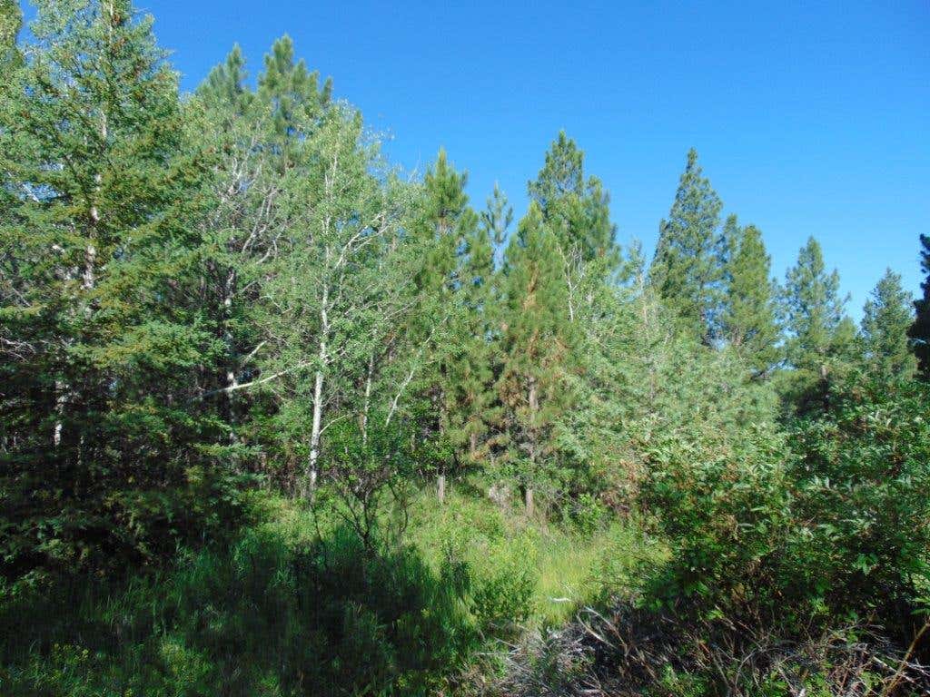 Photo of 4615 Abe Lincoln Road, Lincoln, MT 59639 (MLS # 30074886)